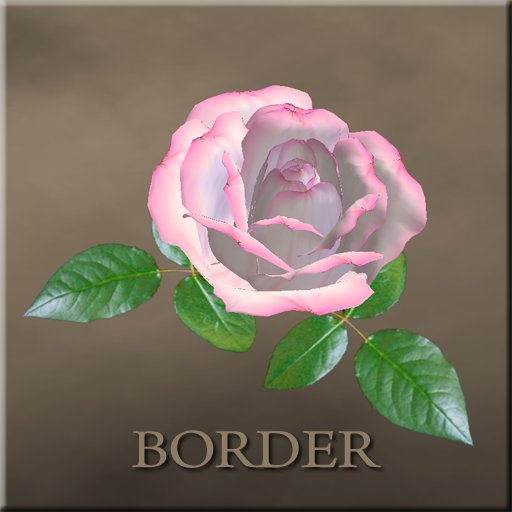 rose pin (border)