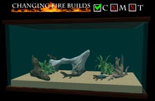 AP - Anolis Tank - Wood