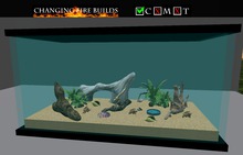 AP - Hermit Crab Tank - Black