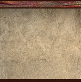 Light Brown Colored Wall Paper with Borders 