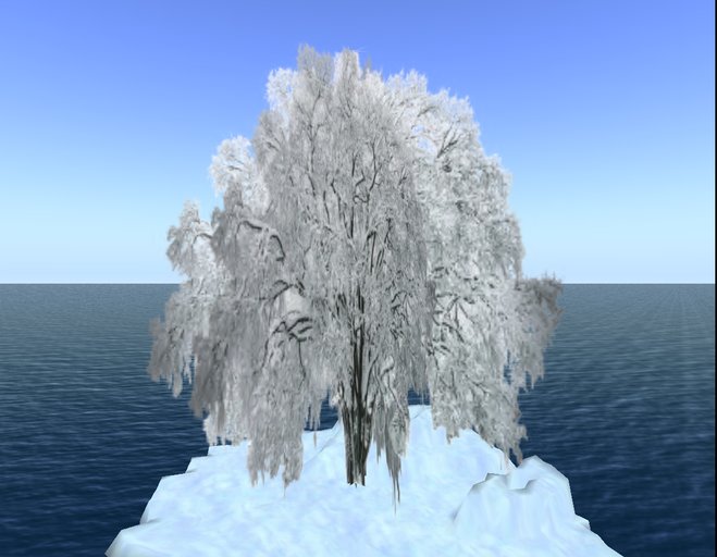 winter tree7