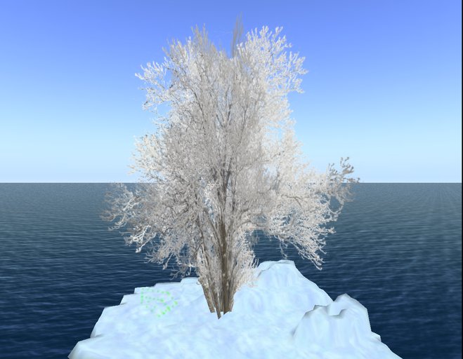 winter tree9
