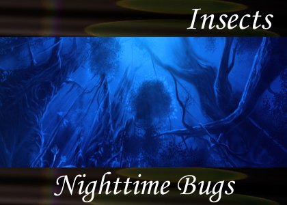 Atmo-Insects - Nighttime Bugs 0:30