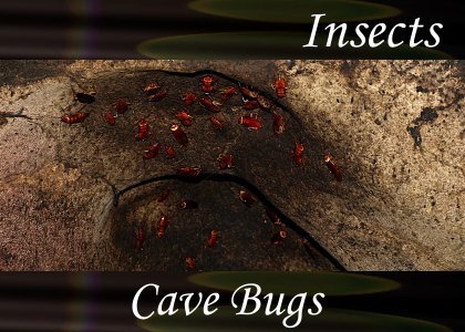 Atmo-Insects - Cave Bugs 0:20