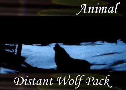 Atmo-Animal - Distant Wolf Pack 0:30