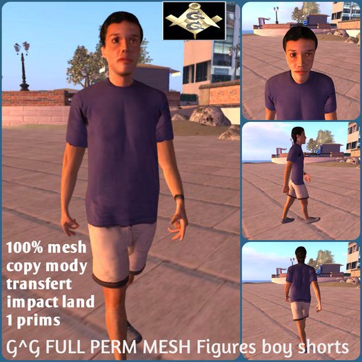 G^G FULL PERM MESH Figures boy shorts