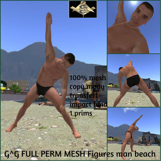 G^G FULL PERM MESH Figures man beach