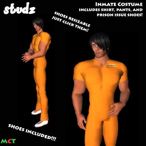 *TD* Inmate Halloween Costume