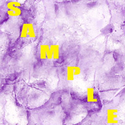 KK White- Purple Marble/Seamless 