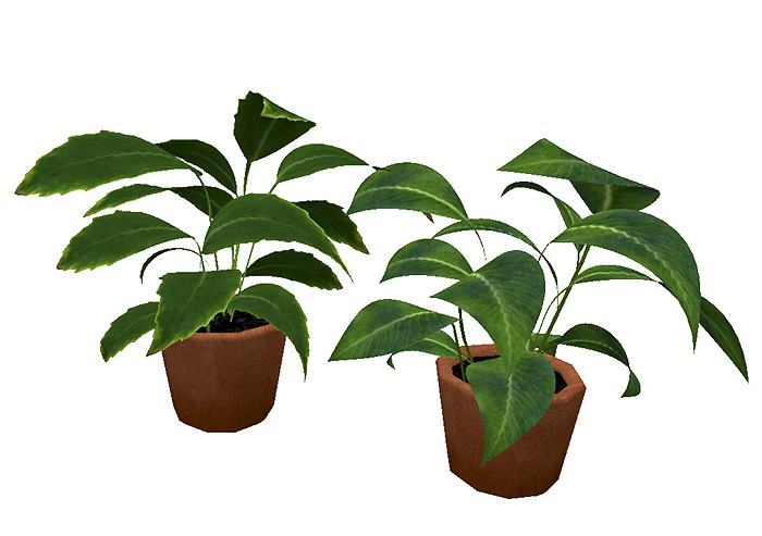 Plants Mesh - Collection