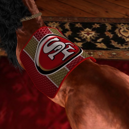 49er's SF Saddlepad