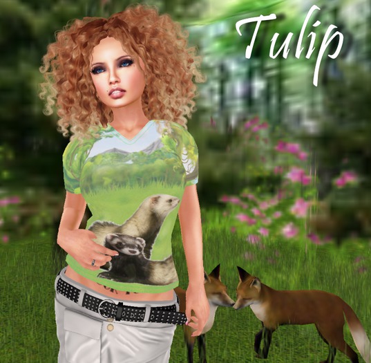 * Ferret * V-neck T-shirt