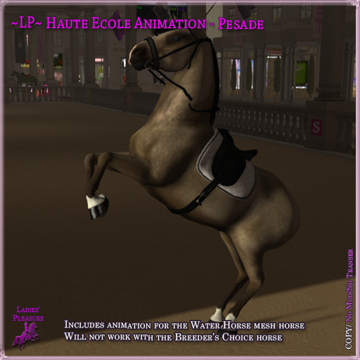 ~LP~ Haute Ecole WH Animation - Pesade
