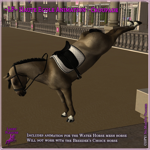 ~LP~ Haute Ecole WH Animation - Croupade