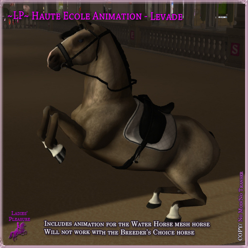 ~LP~ Haute Ecole WH Animation - Levade