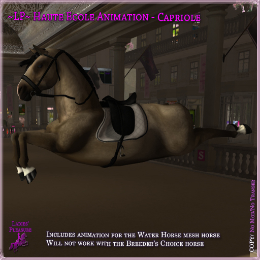~LP~ Haute Ecole WH Animation - Capriole