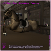 ~LP~ Haute Ecole WH Animation - Capriole