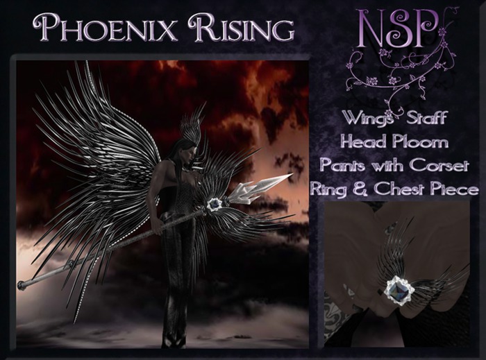 NSP Phoenix Rising Mens Collection ( Black)