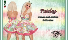 {Ms. B. Designs} Paisley