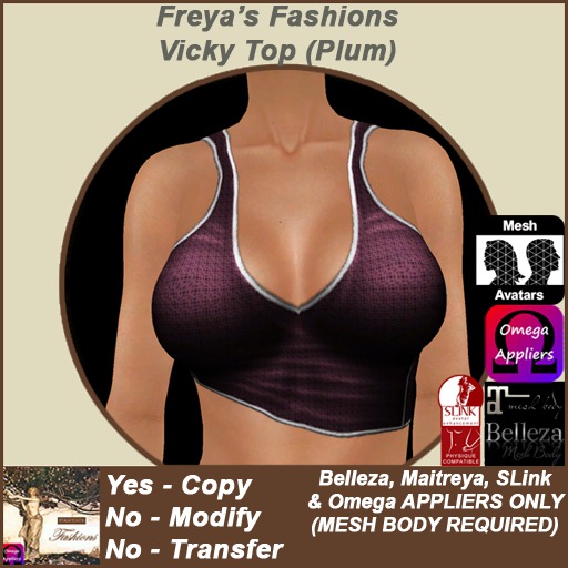Freya's Fashions Vicky Top Plum