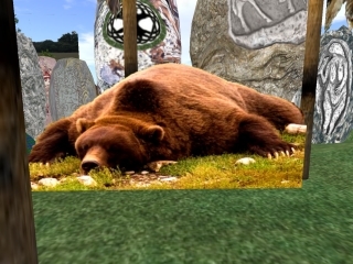 Lazy Alaskan Grizzly Bear, Boxed
