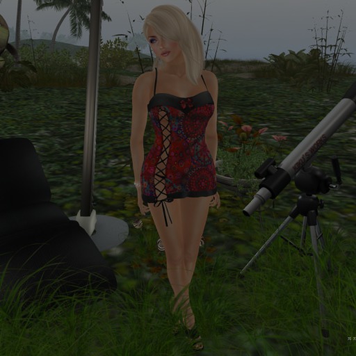 Para's Lace Up Reveal Camisole/Minidress - Transcendence
