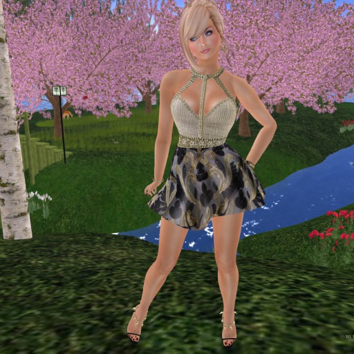 Para's Homage to Skaters Minidress - Gilda