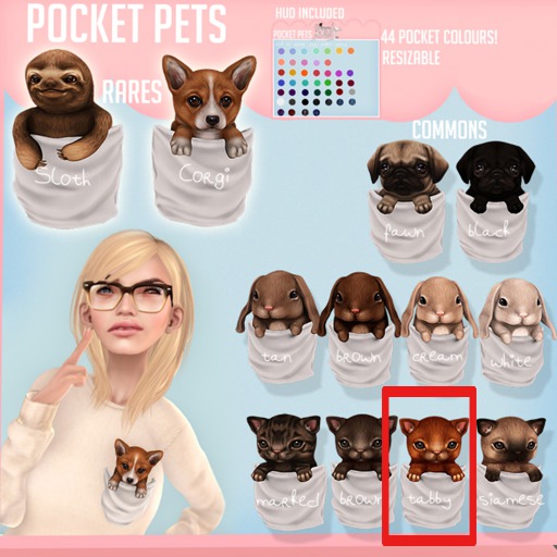 Second Life Marketplace Pocket pet {Kitten} Tabby