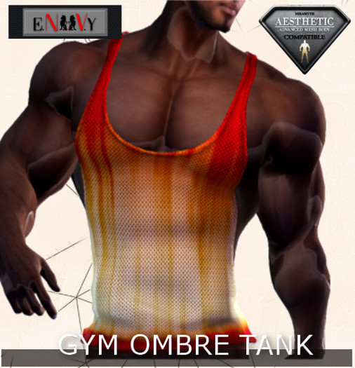 E.N.V.Y GYM NET TANK OMBRE (wear me)