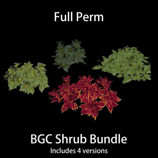 BGC Shrub Bundle [boxed]