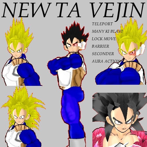 NEW TA VEJIN VER12