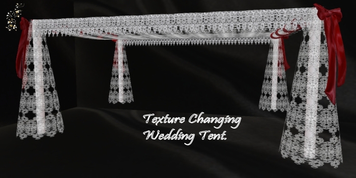 Wedding Tent with Texture Changing Bows 