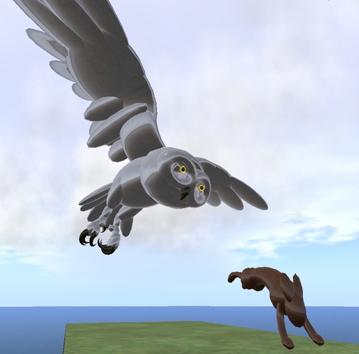 SNOWY OWL ATTACK by Cheen Pitney