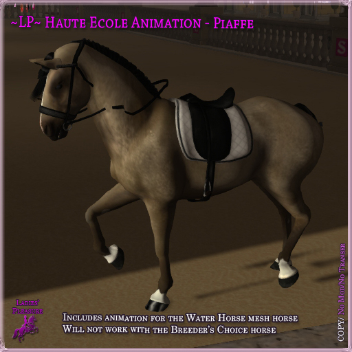 ~LP~ Haute Ecole WH Animation - Piaffe