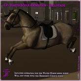 ~LP~ Haute Ecole WH Animation - Ballotade