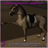 ~LP~ Haute Ecole WH Animation - Jambette Right