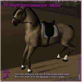 ~LP~ Haute Ecole WH Animation - Mezair