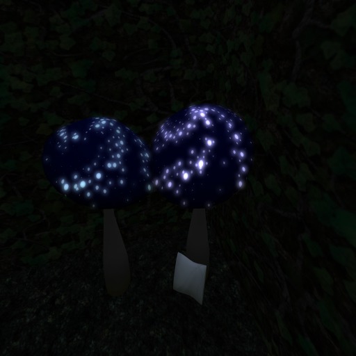 Nightskymushroom
