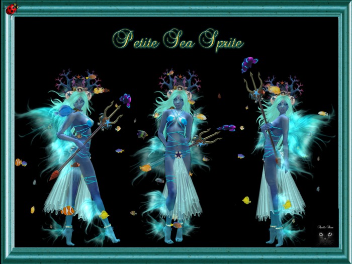 Petite Female Sea Sprite outfit  Boxed