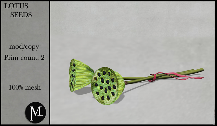 Monsterrat. Lotus seeds