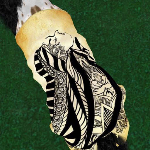 BC QH Blanket - Hair Fancy