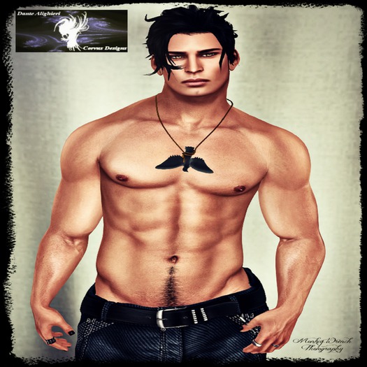 TMP Mesh Body Logan Shape
