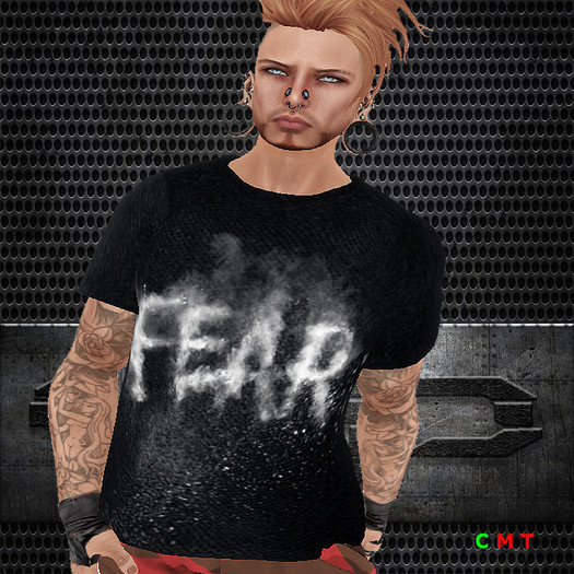 **Void Mens Tees** Fear