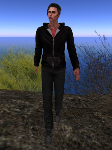 Mesh Mens Hoodie DEMO