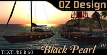 Paint B 60 Black Pearl III