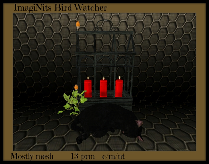 ImagiNits Bird Watcher