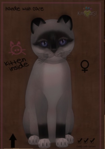 ♀ 9T Foxie Salt & Pepper Mask Midnight Sky Mysterious Small Illume Curious Pointed Soft Fold Black Wavy