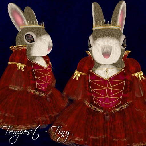 Tempest - Gown - Tiny - Ruby