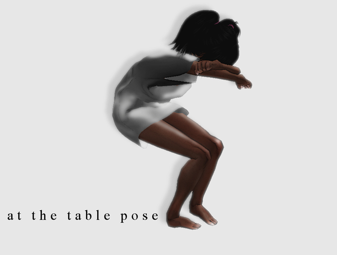 pose at the table ........full perm
