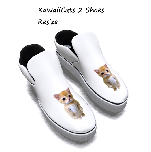 KawaiiCats 2 Shoes Box